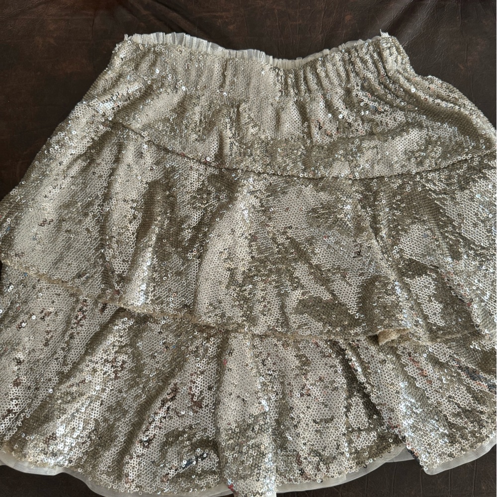 Zara sequence skirt